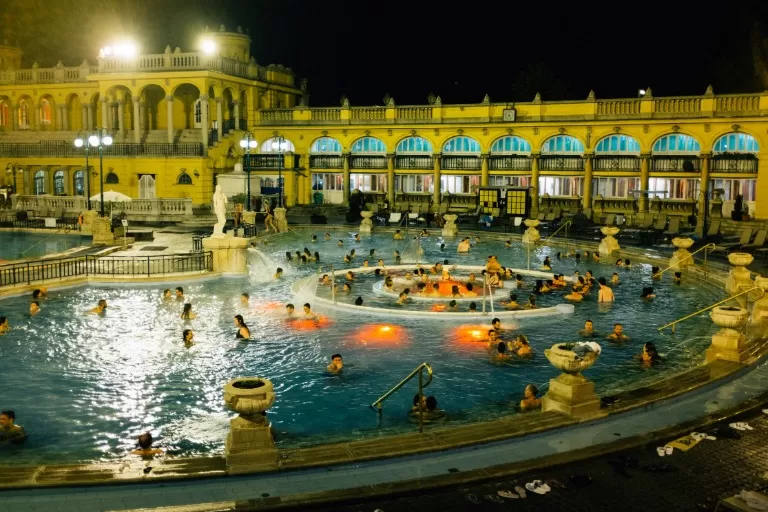 rfid-swimming-pool-membership-application-management_pongee rfid-swimming-pool-membership-application-management_pongee