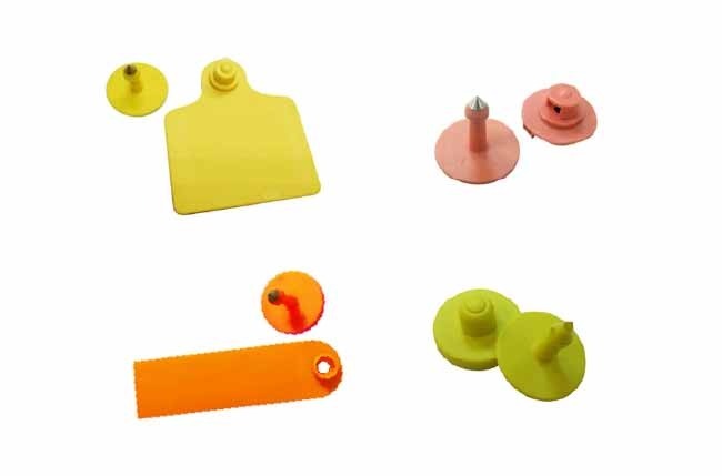 animal-ear-tag,-livestock-tag-pongee
